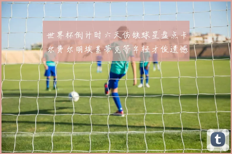 世界杯倒计时六天伤缺球星盘点卡尔费尔明埃基蒂克等年轻才俊遗憾缺席