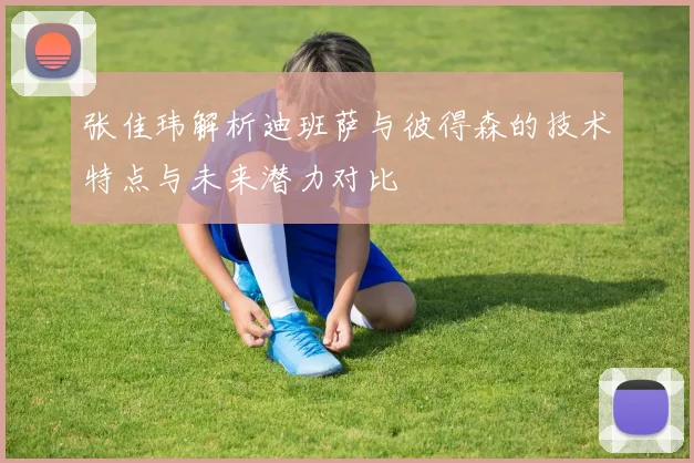 张佳玮解析迪班萨与彼得森的技术特点与未来潜力对比