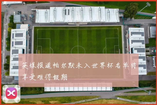 英媒报道帕尔默未入世界杯名单将享受难得假期